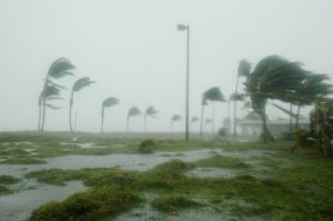 profils qui tuent la réunion