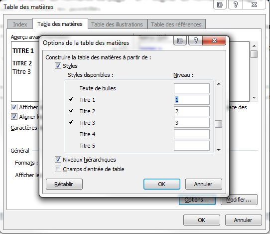 Capture d'écran Word des options de la table des matières